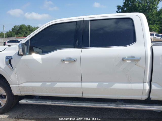 1FTFW1E81PFD20626 Ford F-150 Platinum