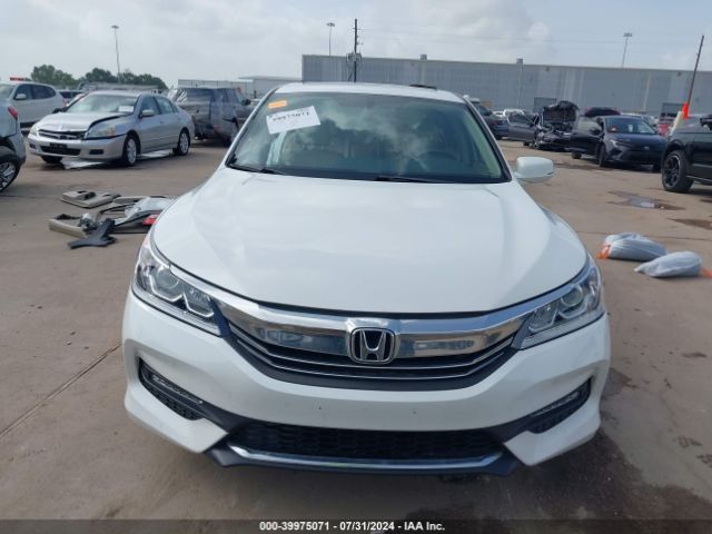 1HGCR3F82GA020645 Honda Accord Ex-l V-6