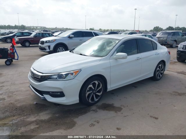 1HGCR3F82GA020645 Honda Accord Ex-l V-6