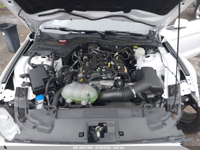 Ford Mustang Ecoboost Fastback 2022 1FA6P8TH7N5134123 Image 10