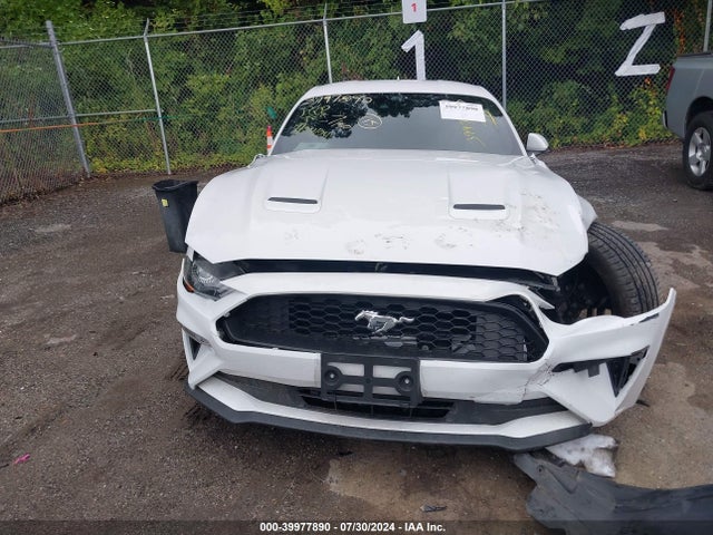 Ford Mustang Ecoboost Fastback 2022 1FA6P8TH7N5134123 Image 12