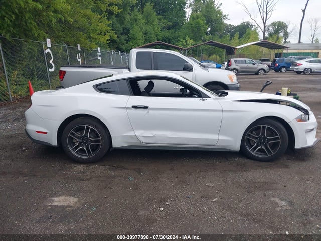 Ford Mustang Ecoboost Fastback 2022 1FA6P8TH7N5134123 Image 13