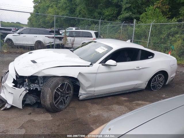 Ford Mustang Ecoboost Fastback 2022 1FA6P8TH7N5134123 Image 14