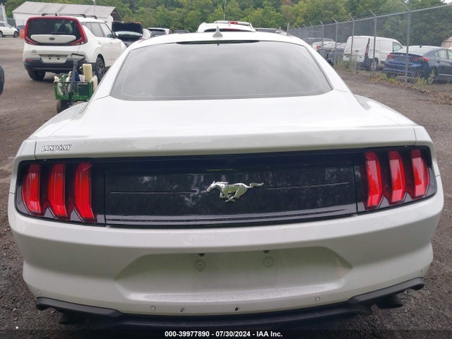 Ford Mustang Ecoboost Fastback 2022 1FA6P8TH7N5134123 Image 16