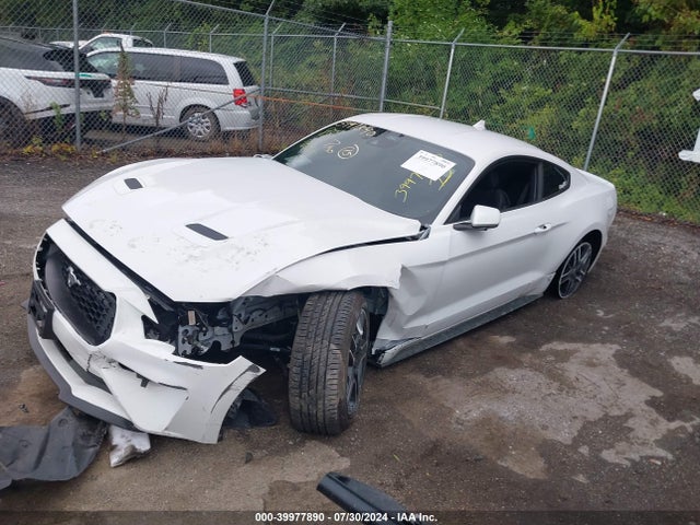 Ford Mustang Ecoboost Fastback 2022 1FA6P8TH7N5134123 Image 2