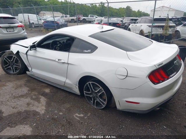 Ford Mustang Ecoboost Fastback 2022 1FA6P8TH7N5134123 Image 3