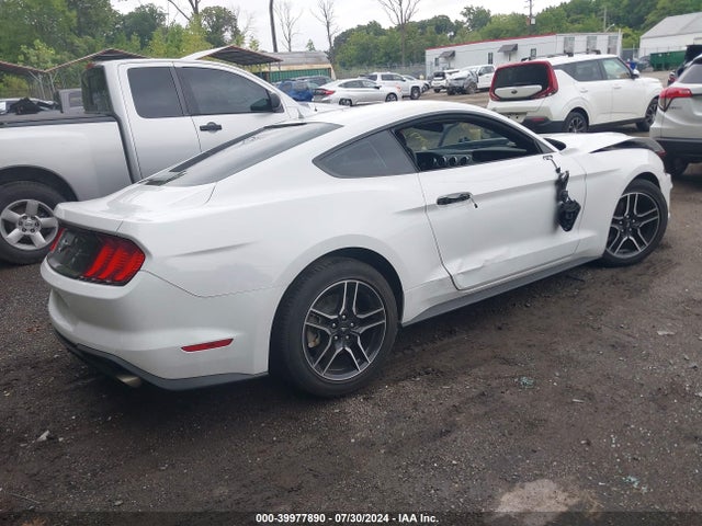 Ford Mustang Ecoboost Fastback 2022 1FA6P8TH7N5134123 Image 4
