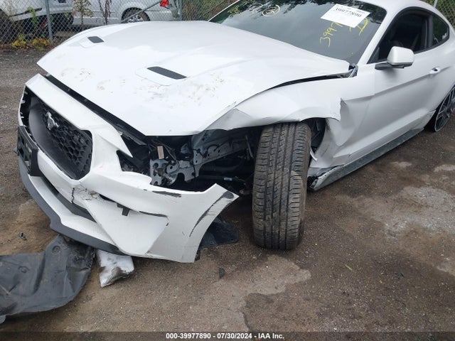 Ford Mustang Ecoboost Fastback 2022 1FA6P8TH7N5134123 Image 6