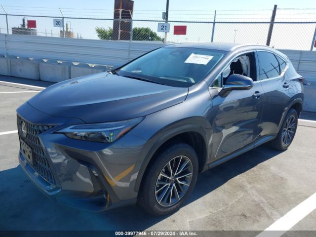 JTJADCAZ3R2014447 Lexus NX 250