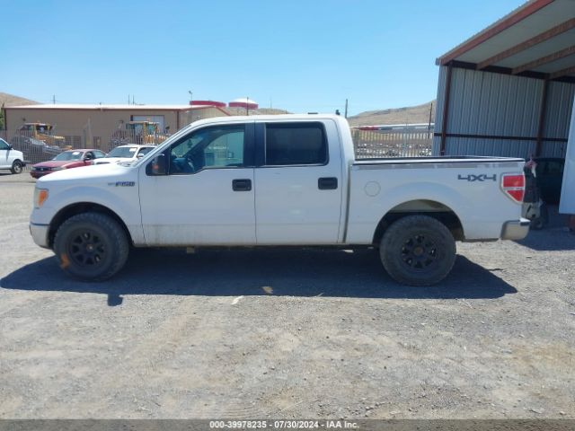 1FTFW1EF7EKE98611 Ford F-150 Xlt