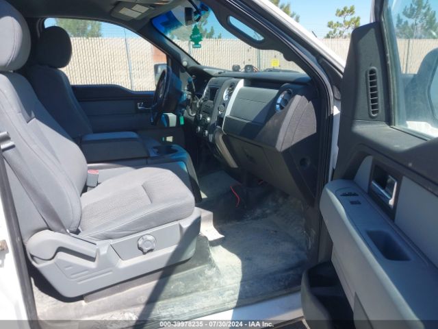 1FTFW1EF7EKE98611 Ford F-150 Xlt