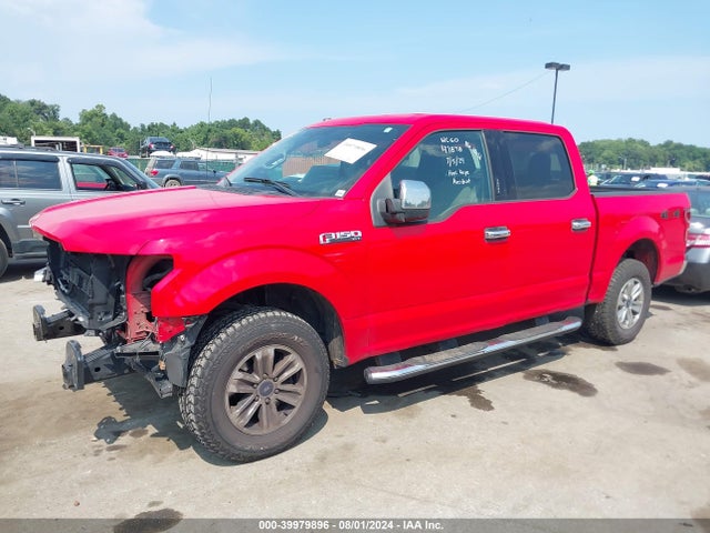 Ford F-150 Xlt 2018 1FTEW1EB2JFD54539 Image 6