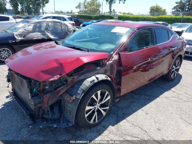 1N4AA6AP0HC379064 Nissan Maxima 3.5 Platinum/3.5 S/3.5 Sl/3.5 Sr/3.5 Sv
