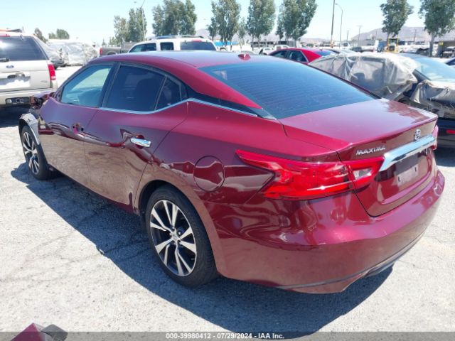 1N4AA6AP0HC379064 Nissan Maxima 3.5 Platinum/3.5 S/3.5 Sl/3.5 Sr/3.5 Sv