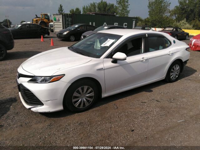 4T1C31AK2LU518579 Toyota Camry Le Hybrid