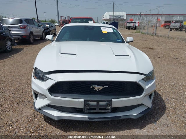 Ford Mustang Ecoboost Fastback 2021 1FA6P8TH0M5132535 Image 12