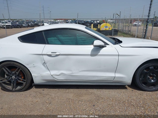 Ford Mustang Ecoboost Fastback 2021 1FA6P8TH0M5132535 Image 13