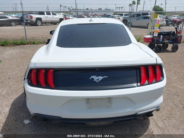 Ford Mustang Ecoboost Fastback 2021 1FA6P8TH0M5132535 Image 16