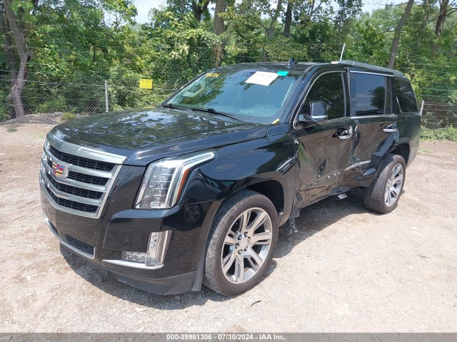 2015 CADILLAC ESCALADE 1GYS4NKJ4FR631087 Photo 1