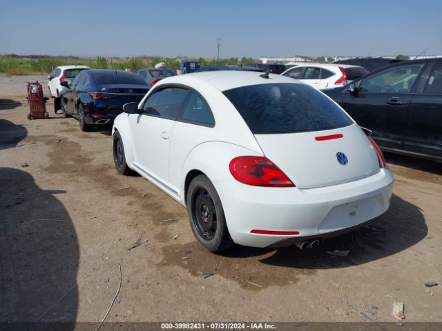 3VWJ07AT7FM623589 Volkswagen Beetle 1.8t