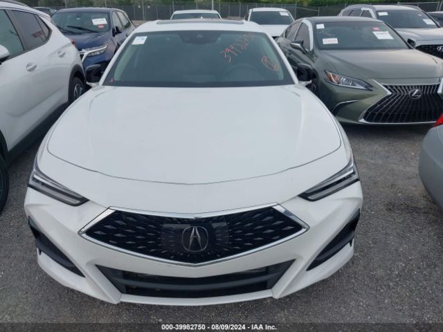 19UUB5F33PA007122 Acura Tlx Standard