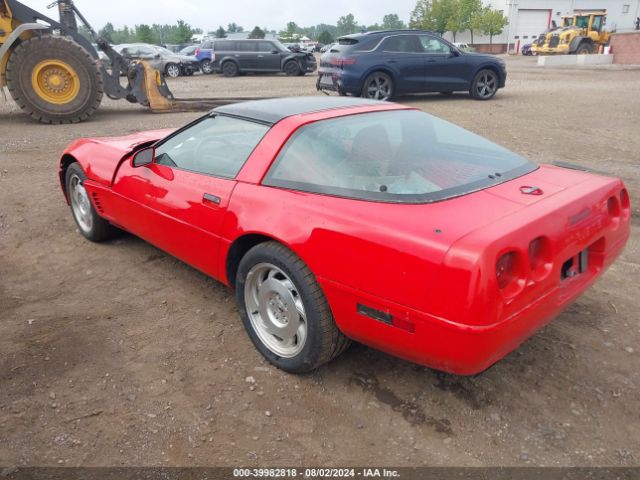 1995 CHEVROLET CORVETTE 1G1YY22P6S5108607 Photo 2