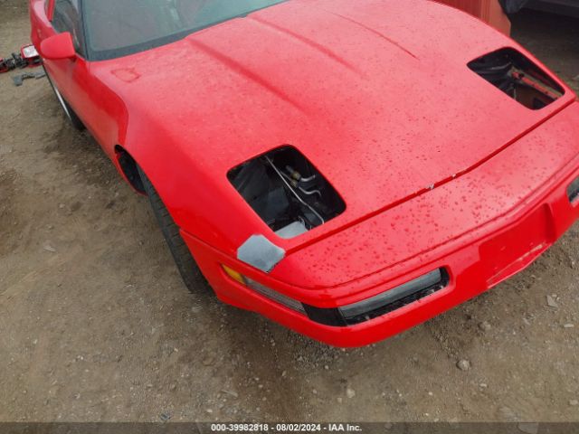 1995 CHEVROLET CORVETTE 1G1YY22P6S5108607 Photo 5