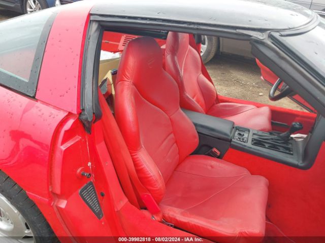 1995 CHEVROLET CORVETTE 1G1YY22P6S5108607 Photo 7