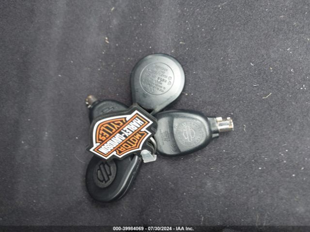 2014 HARLEY-DAVIDSON FLHTKSE 1HD1TEN11EB955930 Photo 10