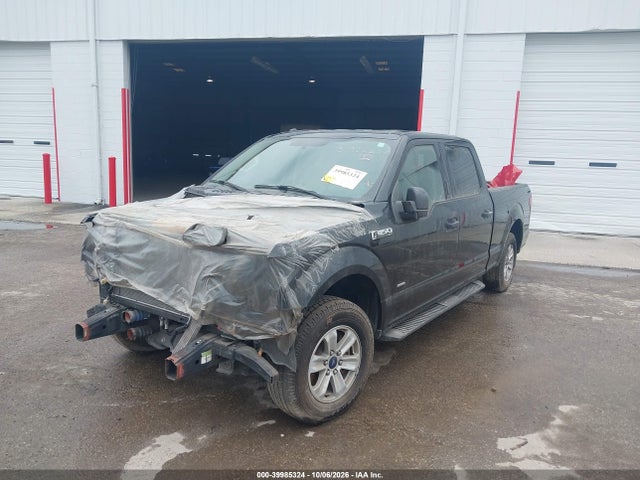 Продажа на аукционе авто 2016 Ford F-150 Xlt, vin: 1FTEW1CP3GFA56461, номер лота: 39985324