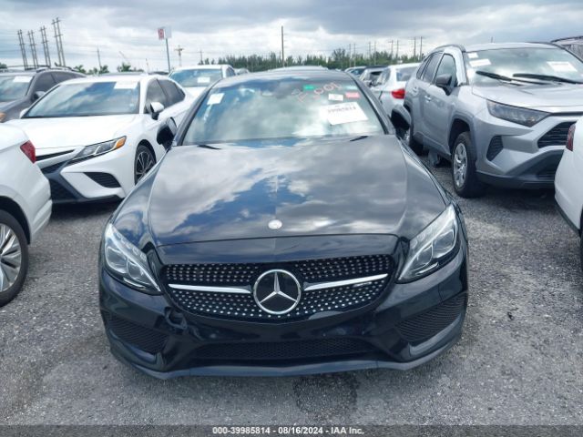 WDDWJ6EB8HF456251 Mercedes-Benz Amg C 43 4matic