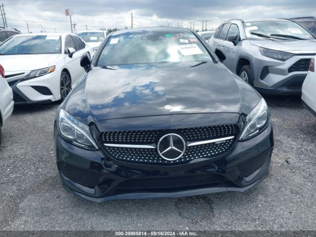 WDDWJ6EB8HF456251 Mercedes-Benz Amg C 43 4matic