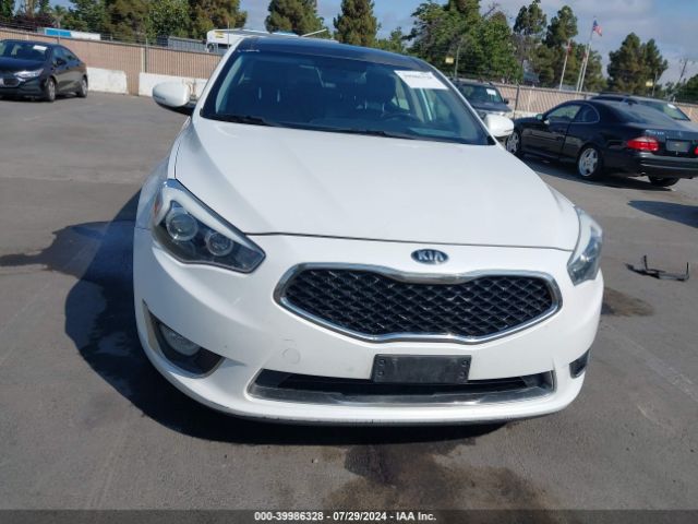 KNALN4D77E5155939 KIA Cadenza Premium