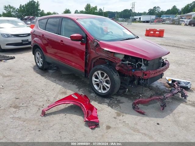 2019 1FMCU0GDXKUA02484 main image