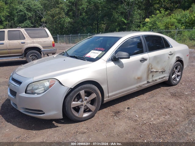 Продажа на аукционе авто 2010 Chevrolet Malibu Ls, vin: 1G1ZA5E00AF255281, номер лота: 39988281