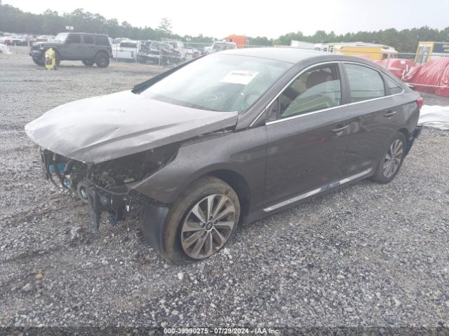 5NPE34AF3HH542148 Hyundai Sonata Sport