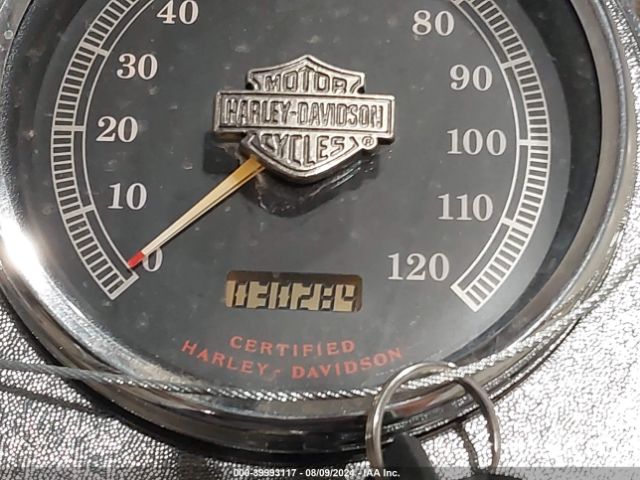 2003 HARLEY-DAVIDSON FXSTI 1HD1BVB113Y028749 Photo 6