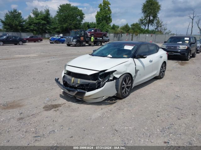 1N4AA6AP1HC419703 Nissan Maxima 3.5 Platinum