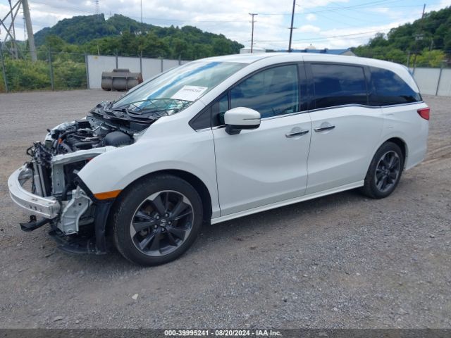 5FNRL6H90NB060986 Honda Odyssey Elite