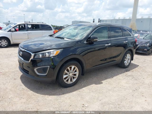 5XYPG4A35GG086369 KIA Sorento 2.4l Lx