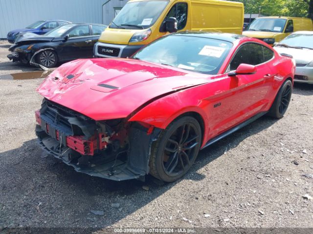 1FA6P8CF7K5159288 Ford Mustang Gt Premium