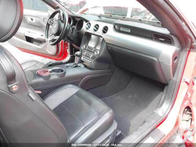 1FA6P8CF7K5159288 Ford Mustang Gt Premium