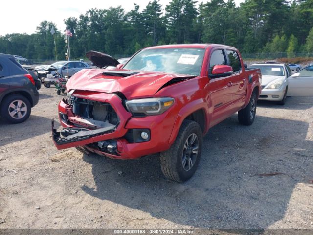 3TMCZ5AN0GM018662 Toyota Tacoma