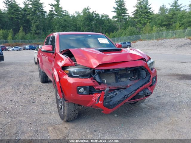 3TMCZ5AN0GM018662 Toyota Tacoma