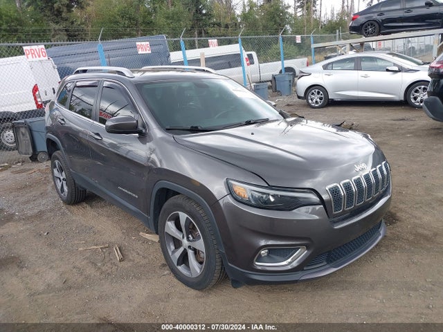 1C4PJMDX9KD303817 auction archive image