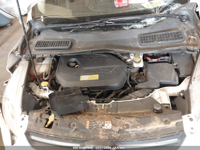 Ford ESCAPE SE 2014 1FMCU9GX8EUB23792 Image 10