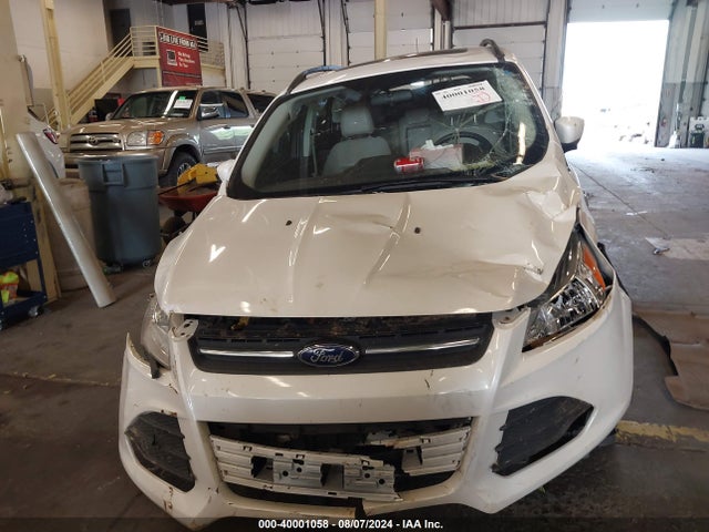 Ford ESCAPE SE 2014 1FMCU9GX8EUB23792 Image 13