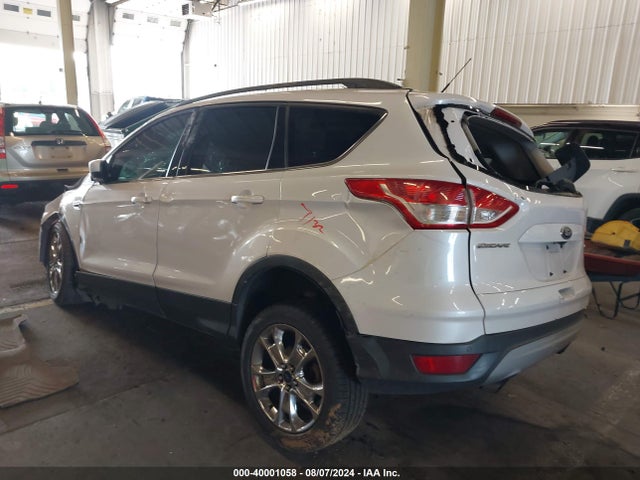 Ford ESCAPE SE 2014 1FMCU9GX8EUB23792 Image 3