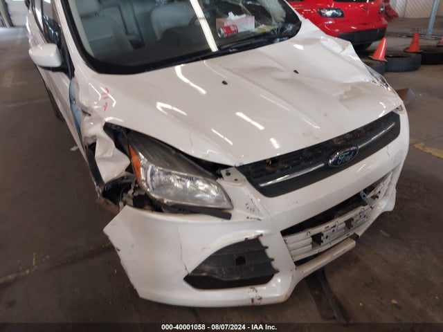Ford ESCAPE SE 2014 1FMCU9GX8EUB23792 Image 6