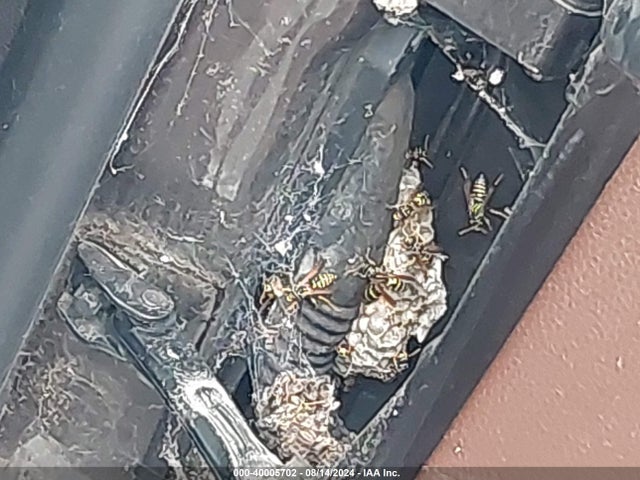 2008 MINI COOPER CLUBMAN WMWML33538TJ45851 Photo 5